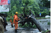 Huge tree rolls over road near Ladyhill